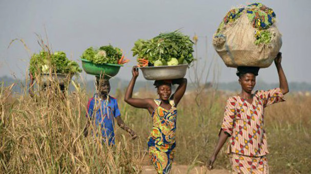 agri-afrique